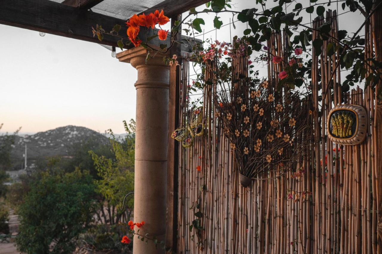 Bed and Breakfast Vina Calabria Valle de Guadalupe Zewnętrze zdjęcie